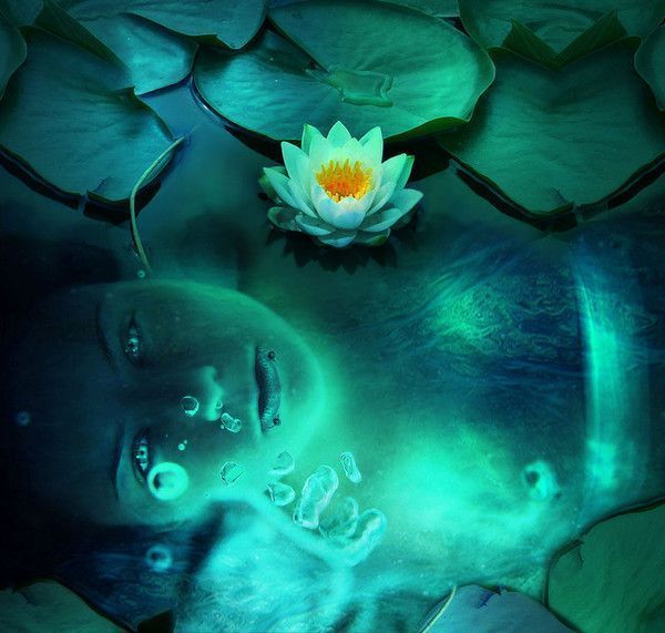 Belles images d'Art. mes préférées. 5 !!