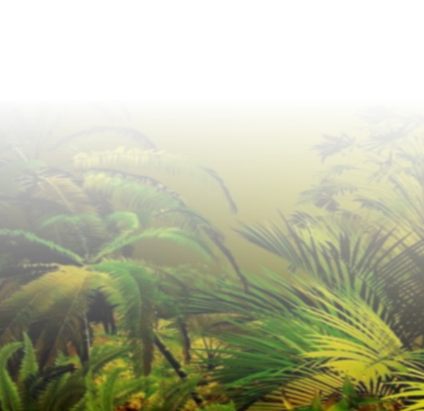 Mes tubes paysage en transparence !!