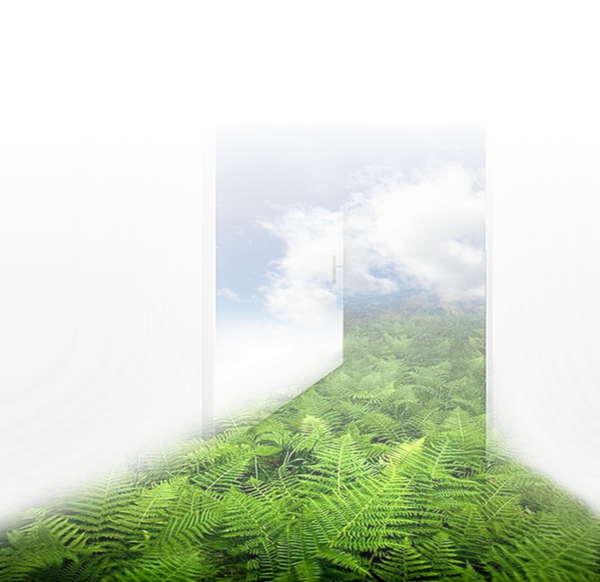 Mes tubes paysage en transparence !!